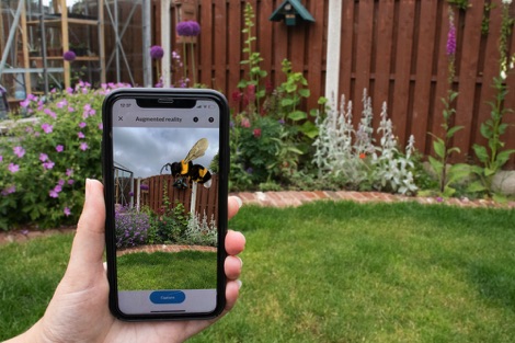 Bumblebee app
